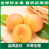 PAGODA百果园A级-新疆吊干杏（大）彩箱装（净重2.2斤） 商品缩略图5