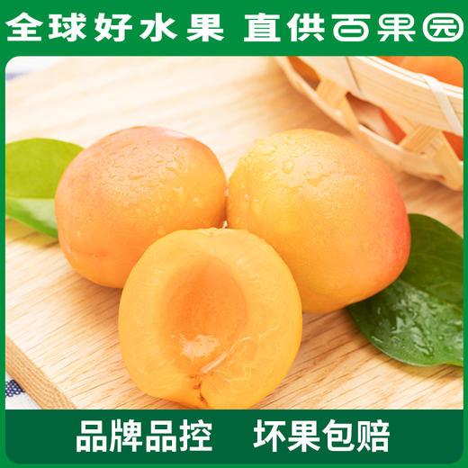 PAGODA百果园A级-新疆吊干杏（大）彩箱装（净重2.2斤） 商品图5
