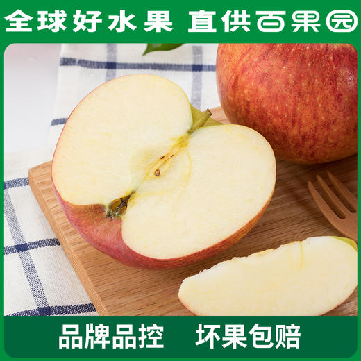 PAGODA百果园进口爱妃苹果（中）9粒礼盒装 商品图5