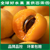 PAGODA百果园A级-新疆吊干杏（大）彩箱装（净重2.2斤） 商品缩略图6