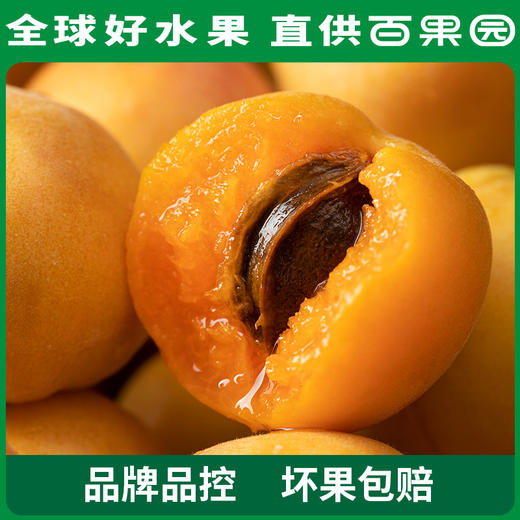 PAGODA百果园A级-新疆吊干杏（大）彩箱装（净重2.2斤） 商品图6