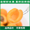 PAGODA百果园A级-新疆吊干杏（大）彩箱装（净重2.2斤） 商品缩略图4