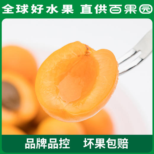 PAGODA百果园A级-新疆吊干杏（大）彩箱装（净重2.2斤） 商品图4
