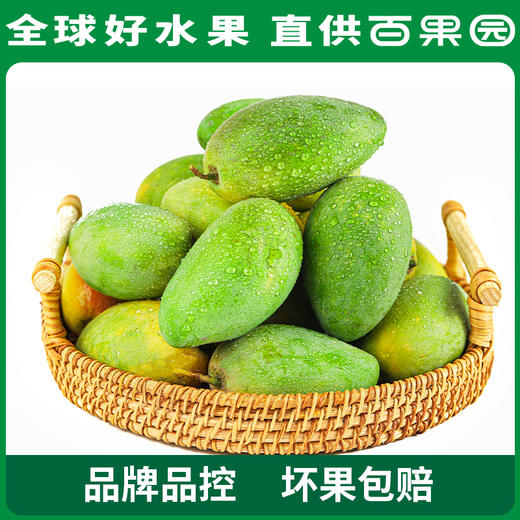 PAGODA百果园椰香芒（大）5斤礼盒装 商品图3