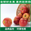 PAGODA百果园进口爱妃苹果（中）9粒礼盒装 商品缩略图4