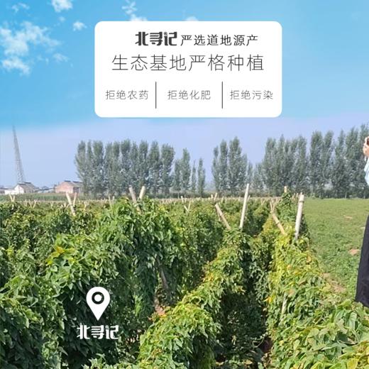 河南农科院出品  八珍粉   脾胃全面养 配料超干净150克/罐 商品图3