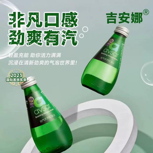 吉安娜®果味/柠檬/西瓜草莓/橘子碳酸饮料/充气天然矿泉水200ml 非凡口感劲爽有汽 024986/024987/024988/024989/025081 商品图3