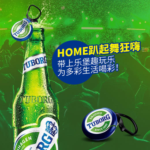 TUBORG乐堡啤酒易拉环瓶装小麦清爽型拉格啤酒8度330ml 商品图2