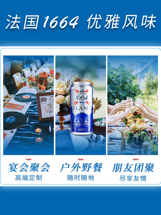 法国进口1664啤酒听装冰镇啤酒白啤酒500ml 商品图4