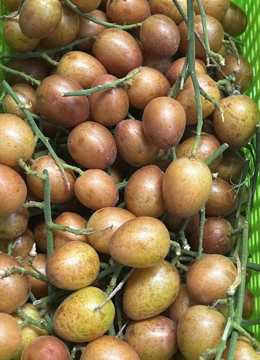 黄皮果 商品图0