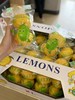 柠檬(2个装) 商品缩略图0