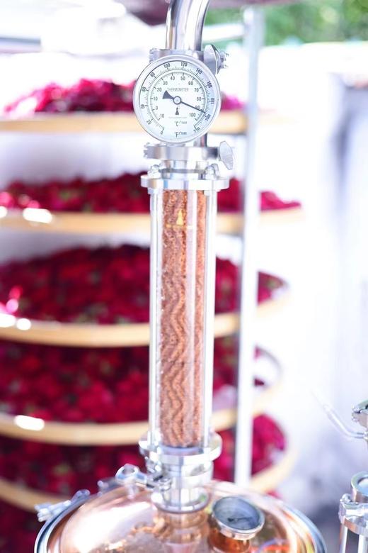 自制纯天然玫瑰纯露+野艾草纯露250ml 商品图10