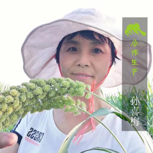 生态山东干大蒜 | 合作生产* Eco- onion | Coproduction 商品图1