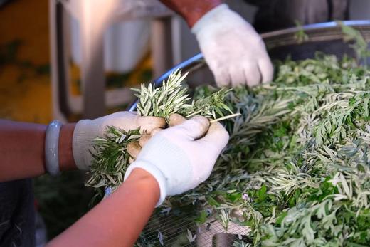 自制纯天然玫瑰纯露+野艾草纯露250ml 商品图2