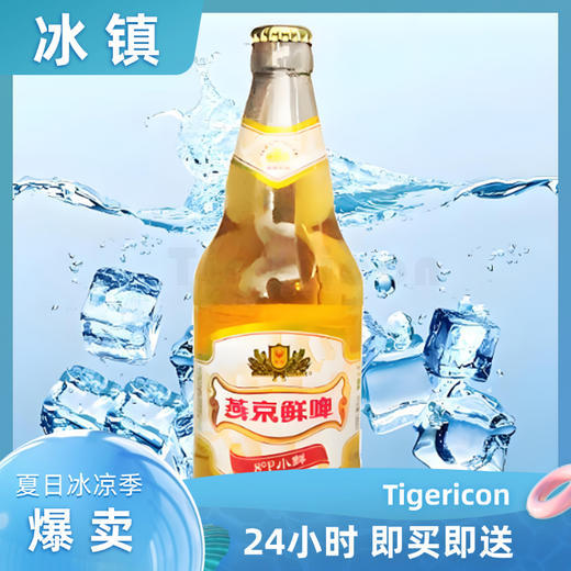 燕京鲜啤8°p小鲜啤酒500ml/瓶 商品图0
