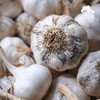 生态山东干大蒜 | 合作生产* Eco- onion | Coproduction 商品缩略图2