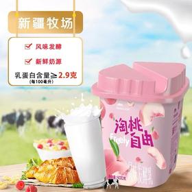 天润果肉酸奶淘桃自由大果粒酸奶香甜美味 400g/罐 新疆直发