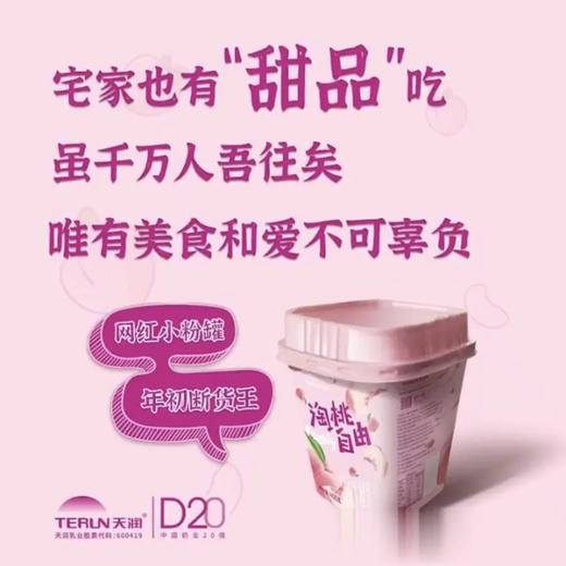 天润果肉酸奶淘桃自由大果粒酸奶香甜美味 400g/罐 新疆直发 商品图4