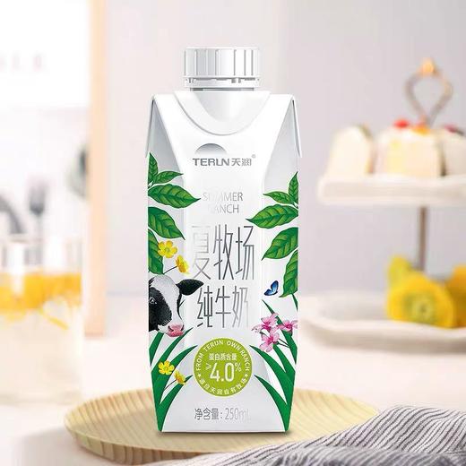 天润夏牧场纯牛奶250Ml*梦幻盖*10盒 新疆美食特产 常温营养奶 商品图3