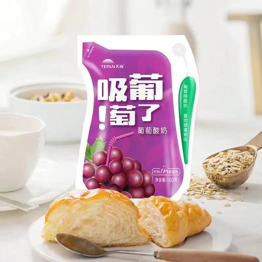 天润酸奶 网红爆款酸奶多口味组合 180克12袋/件 商品图6