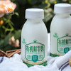 有机鲜牛奶/酸奶（现货，参与广东省内满300包邮）| 公平贸易*Organic fresh milk| Fair Trade Items 商品缩略图0