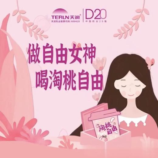 天润果肉酸奶淘桃自由大果粒酸奶香甜美味 400g/罐 新疆直发 商品图5