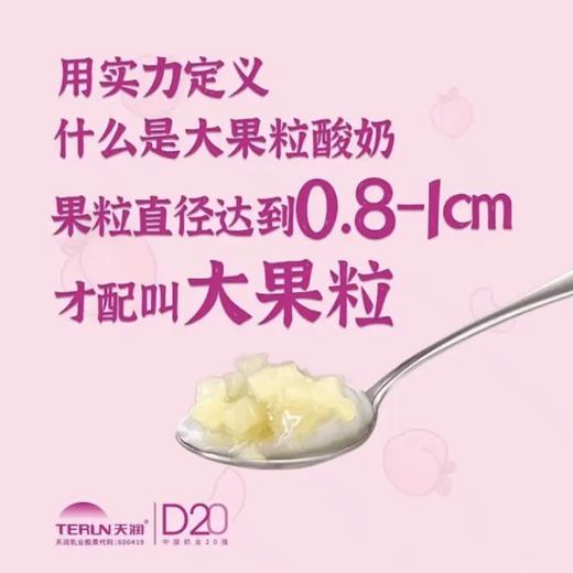 天润果肉酸奶淘桃自由大果粒酸奶香甜美味 400g/罐 新疆直发 商品图2