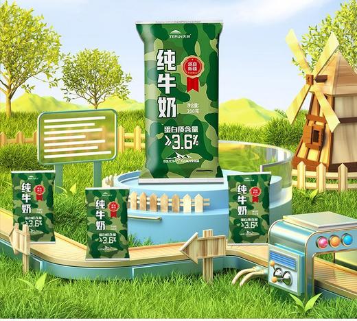 新疆天润迷彩枕全脂纯牛奶生牛乳全脂灭菌乳200ml*12袋装整箱 商品图5