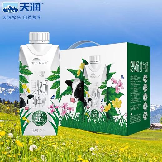 天润夏牧场纯牛奶250Ml*梦幻盖*10盒 新疆美食特产 常温营养奶 商品图1