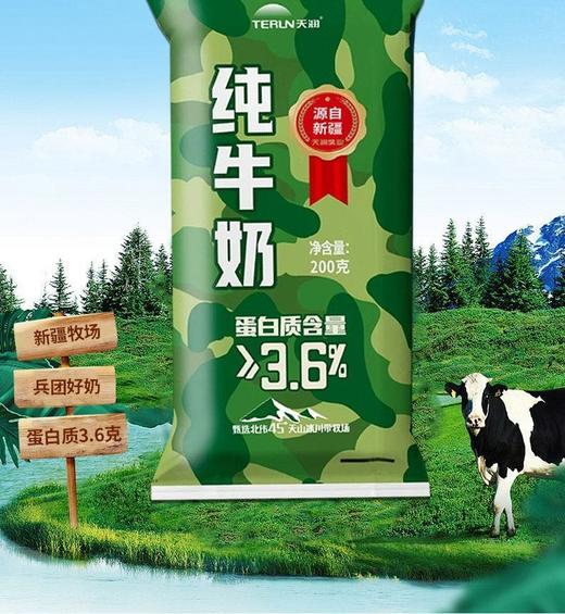 新疆天润迷彩枕全脂纯牛奶生牛乳全脂灭菌乳200ml*12袋装整箱 商品图6