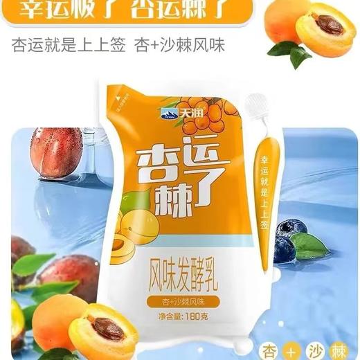 天润酸奶 网红爆款酸奶多口味组合 180克12袋/件 商品图2