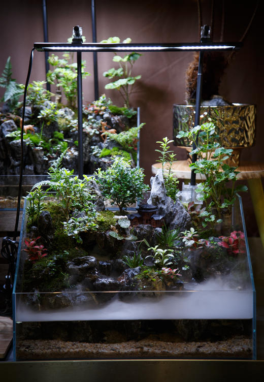 水陆缸 商品图0