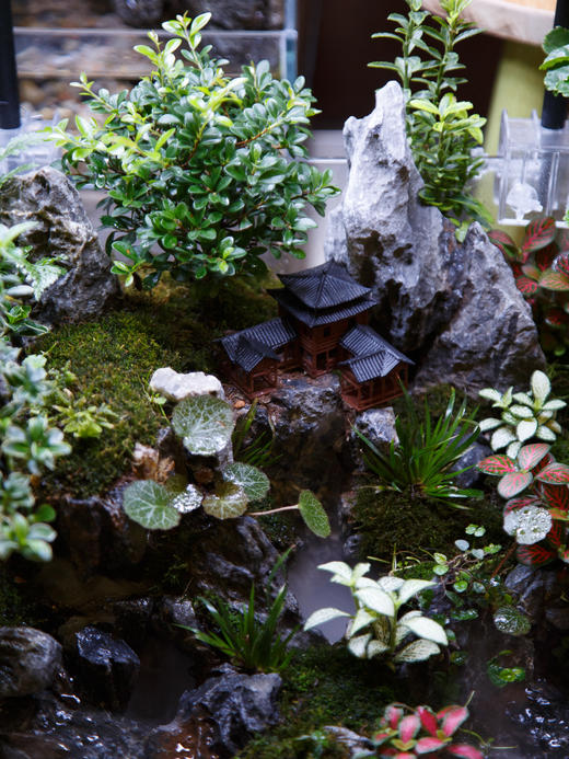 水陆缸 商品图1