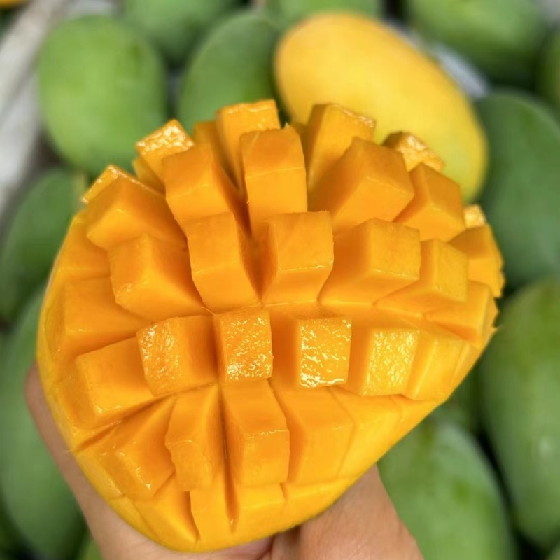 攀枝花攀研二号芒果|山人优选，奶香味独特、果肉细腻丝滑、纯甜