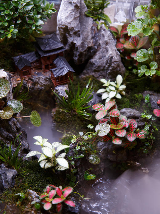 水陆缸 商品图3