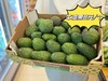 牛油果（个） 商品缩略图0