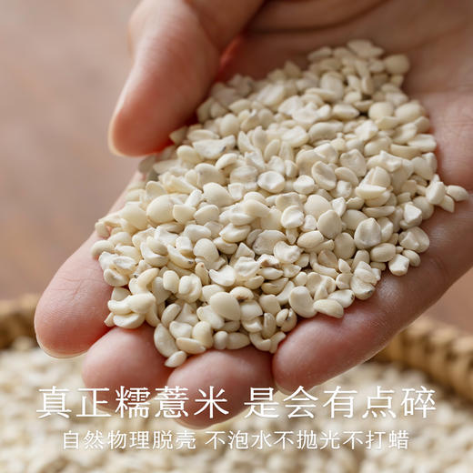 南食召 本色薏仁米 商品图3