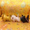 小老虎挂件 多色 9.5cm*6cm 商品缩略图2