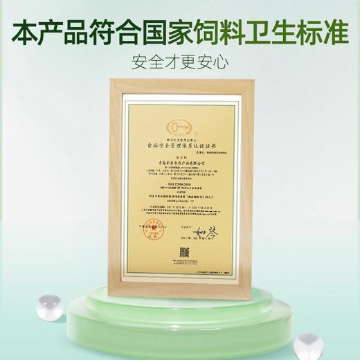 IGG鹦鹉鸟粮饲料鸟食虎皮鹦鹉专用粮和尚玄凤牡丹小太阳粮食冻干 商品图3