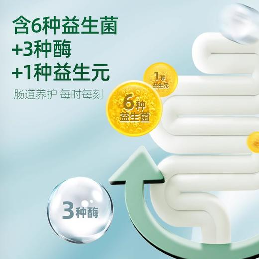 IGG鹦鹉鸟粮饲料鸟食虎皮鹦鹉专用粮和尚玄凤牡丹小太阳粮食冻干 商品图2