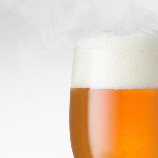 酒秒达胖东来DL精酿小麦 啤酒500ml*6罐整箱正品烧烤烤肉搭子 商品图2