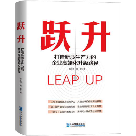 跃升--打造新质生产力的企业高端化升级路径 商品图0