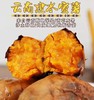 【云南建水红薯】 建水蜜薯 香甜软糯 肉质细腻 不干不噎 湿润甜糯 3种规格任选 商品缩略图7
