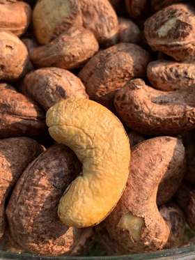 越南纯进口一级虎皮腰果A180+级 380g/盒