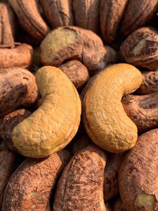 越南纯进口一级虎皮腰果A180+级 380g/盒 商品图1