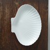  【苏州】日本White Elegent扇贝型陶瓷大餐盘 商品缩略图3