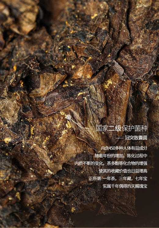 福金花·撬片紧压金花2019·金冠90g 商品图1