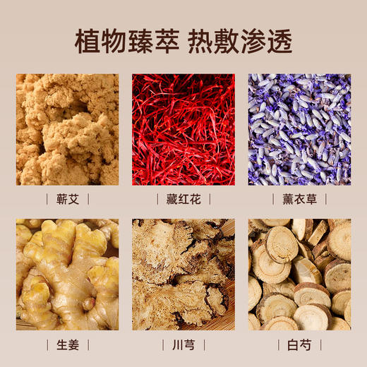 【方便版晒背】元气达人背灸灸贴大面积发热蕲艾生姜龙骨灸贴 商品图2