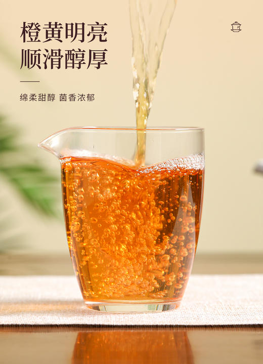 福金花·撬片紧压金花2019·金冠90g 商品图4