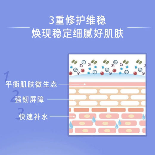 兰芝夜间修护睡眠面膜70ml 益生菌 商品图3